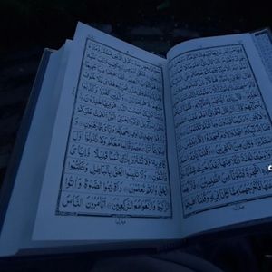 Meet your Posher, Saleh